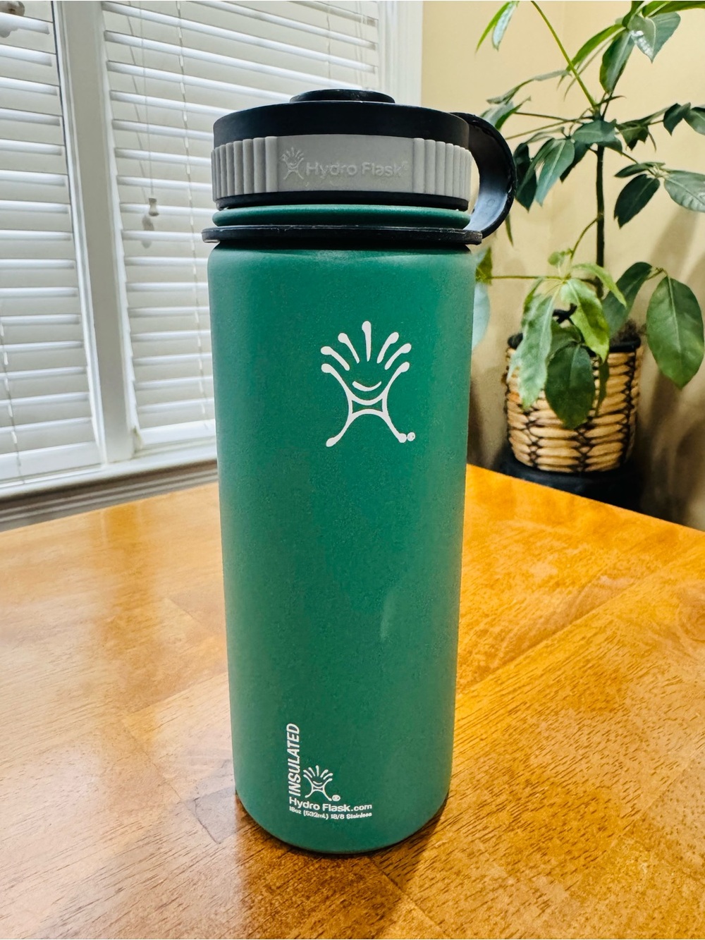 Hydro Flask Insulated Green Wide Mouth Stainless Bottle 18 oz